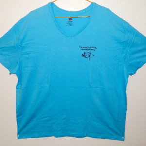 Tee - Blue V-neck - Front