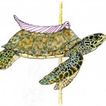 Honu - Sea Turtle