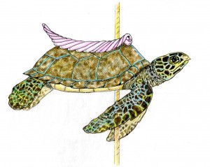 Honu - Sea Turtle